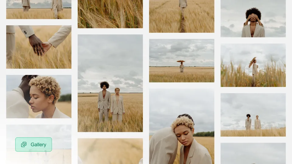 A Gallery delivery: a mosaic of photographs from a wheat-field shoot