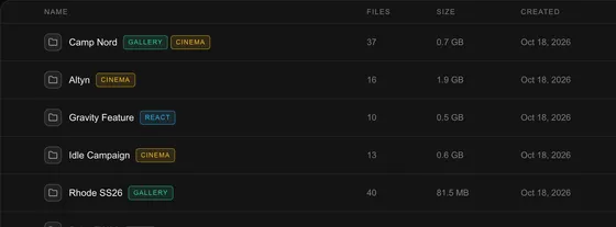 The demo studio's Library list: Camp Nord, Altyn, Gravity Feature, Idle Campaign and Rhode SS26, each with its views, file count, size and date